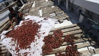 Aktivitas di pelabuhan ini tetap eksis sejak era penjajahan belanda hingga saat ini.