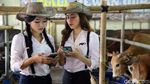 Berburu Hewan Kurban Bersama Para Cowgirl Cantik di Depok