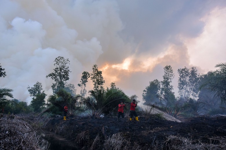 Polda Riau Koordinasi Penanganan Karhutla dengan Kejaksaan-Pengadilan Tinggi Polda Riau Koordinasi Penanganan Karhutla dengan Kejaksaan-Pengadilan Tinggi