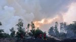 Penampakan Kobaran Api yang Lumat Lahan Gambut di Riau