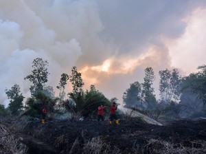 Bupati Pelalawan Penuhi Panggilan Polisi Terkait Kasus Karhutla di Riau