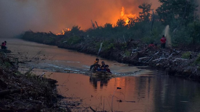 Sejumlah petugas pemadan kebakaran PT Riau Andalan Pulp and Paper (RAPP) berusaha memadamkan kebakaran lahan gambut di Desa Penarikan Kecamatan Langgam Kabupaten Pelalawan, Riau, Minggu (28/7/2019). Berdasarkan data Badan Nasional Penanggulangan Bencana (BNPB) kebakaran hutan dan lahan hingga Juli 2019 luasnya lebih dari 27 ribu hektare, dan kini masih terus meluas di Kabupaten Pelalawan dan Siak. ANTARA FOTO/FB Anggoro/foc.