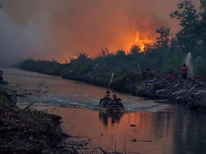 BNPB soal Kebakaran Hutan Sulit Padam: Gambut Kita Sangat Dalam