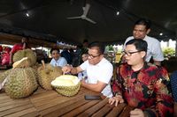 Ini Durian Jumbo 'Lima Jari' Asal Malaysia yang Bernama 'The Rock'