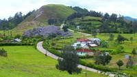 Bukit Bikum akan membuat kamu merasa berada di New Zealand atau Selandia Baru. Bertempat di Mollo Utara, NTT, tempat ini kerap disebut sebagai negeri seribu bukit, nah salah satu bukit cantiknya ialah Bikium. (Beautiful Timore/dTraveler)