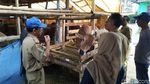 Duh, Puluhan Sapi Tak Layak Kurban Ditemukan Petugas di Ciamis