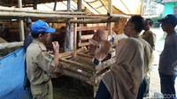 Ada puluhan sapi ditemukan tak layak kurban dari pemeriksaan yang telah dilakukan selama seminggu oleh petugas tersebut.