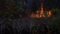 Dari data BMBG Pekanbaru, titik panas (hotspot) diketahui paling banyak di Pelalawan. Data BMGK ini berdasarkan satelit Terra Aqua.