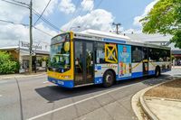 Transportasi umum di Brisbane yang memakai bahan bakar ramah lingkungan (iStock)