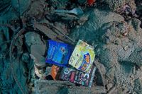 Sampah plastik di lautan (Ria Qorina/Istimewa)