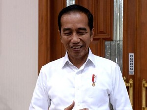 Keliling Toba, Jokowi Tinjau Kampung Persidangan hingga Peternakan Sapi