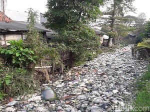 Kemenko Kemaritiman Tinjau Kali Bahagia Bekasi yang Penuh Sampah