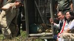 Kisah Harimau Sumatera yang Tewaskan 2 Warga Riau Dibukukan