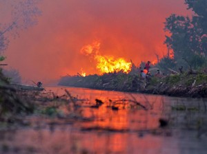 Siapa Perusahaan Singapura Penyebab Kebakaran Hutan?