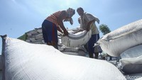 Sejak jaman nenek moyang orang Bugis-Makassar di pelabuhan Paotere ini menjadi salah satu pintu gerbang ekspor pengiriman beragam komoditi dari kawasan timur nusantara ke mancanegara.
