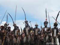 Suku Dani di Festival Lembah Baliem (Sastri/detikcom)