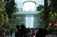 Menakjubkan! Hutan 'Avatar' di Jewel Changi