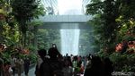 Foto: Hutan Avatar di Jewel Changi