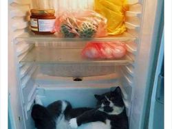 Curhat Kocak Netizen Inggris soal Cuaca Panas