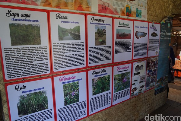 Foto: Sungai Purba Zaman Kenozoikum di Belitung
