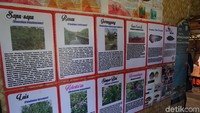 Kini, pemerintah dan warga setempat membangun Tebat Rasau sebagai geosite dan kawasan wisata (Shinta Angriyana/detikcom)