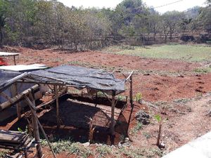 Musim Kemarau, Warga di Gunungkidul Jual Ternak untuk Beli Air Bersih