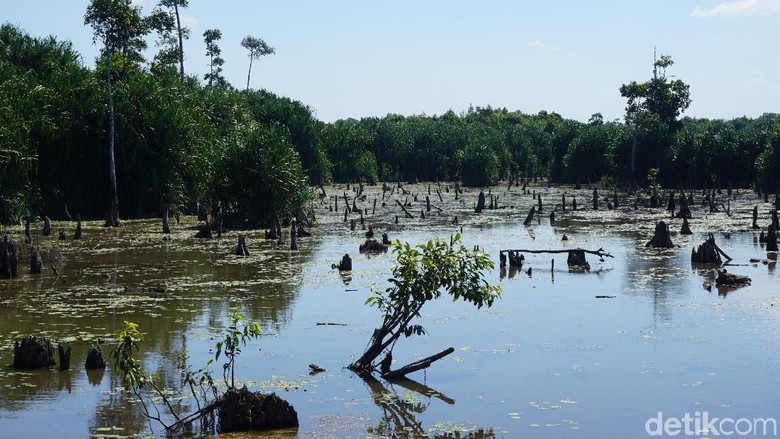 Jejak Geosite Sungai Purba di Negeri Laskar Pelangi