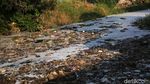 Jorok! Kali Pisang Batu Penuh Sampah dan Berbusa
