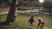 Anak-anak bisa bermain lari-larian karena area taman yang luas.