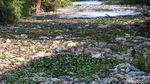 Jorok! Kali Pisang Batu Penuh Sampah dan Berbusa