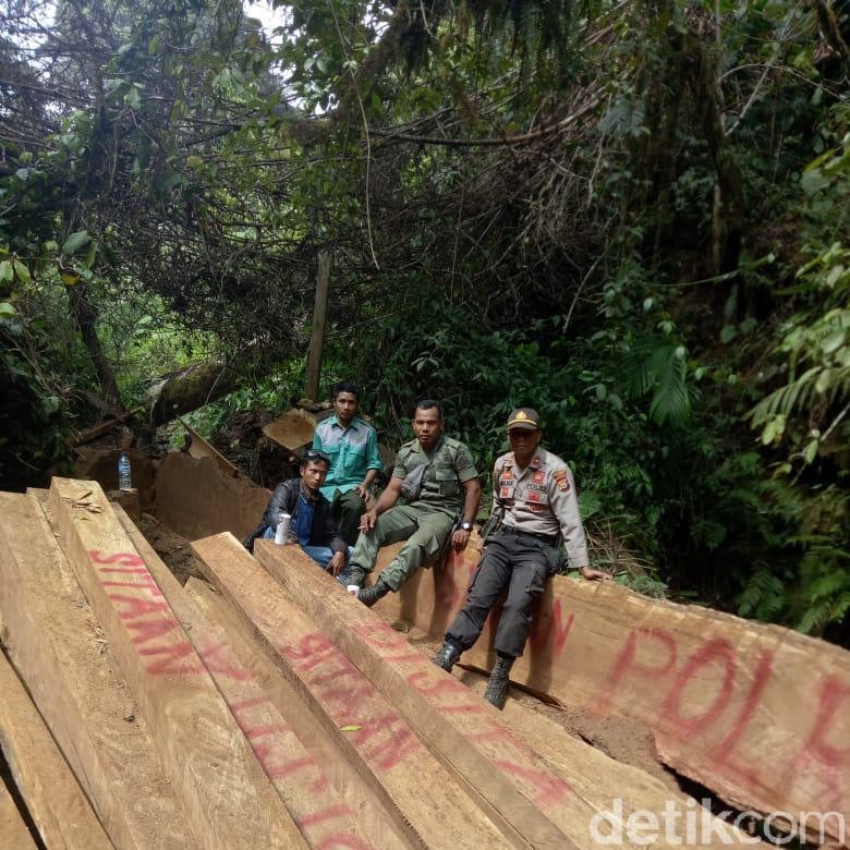 100 Kubik Kayu Illegal Logging Ditemukan di Hutan Gunung Tambora 100 Kubik Kayu Illegal Logging Ditemukan di Hutan Gunung Tambora