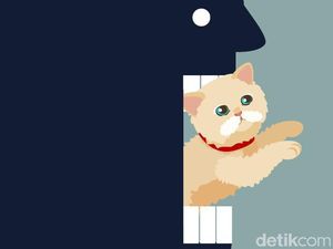 Ancaman Hukuman Rendah, Abah Grandong Pemakan Kucing Tak Bisa Ditahan