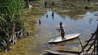 Masa kenozoikum merupakan era yang terjadi sekitar 65 juta tahun yang lalu. Di masa-masa ini, mamalia dan tumbuhan berbiji modern berkembang. Begitu pun dengan munculnya manusia (Shinta Angriyana/detikcom)