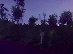 Pocong Kedungwaru Kidul dan Fenomena Melihat Penampakan Pareidolia