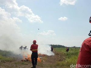 Cerita Tim Pemadam Kebakaran, Tak Boleh Cuti Saat Musim Kemarau