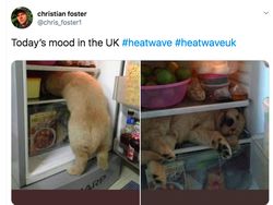 Curhat Kocak Netizen Inggris soal Cuaca Panas