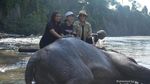 Foto Tangkahan, Tempat Nicholas Saputra Mandikan Gajah
