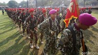 Nantinya tugas Koopssus TNI lebih banyak bergerak penangakalan terorisme. Fungsi intelijen sangat diutamakan dalam pasukan ini.