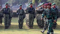 Hadi Tjahjanto menegaskan pembentukan Koopssus ini bukan meniadakan peran pasukan khusus matra lainnya. Hadi mengatakan justru ingin mensinergikan tugas TNI.