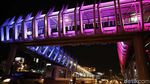 Menikmati Warna-warni Skybridge Penghubung LRT-TransJ