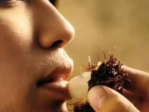 Rambutan buah alien