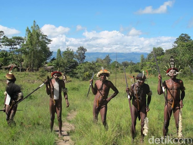 Koteka Terancam Punah