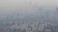 Senyawa PM2.5 di Seoul rata-rata 26 mikrogram/m3 dari 2016 hingga 2018, menempatkan Seoul lebih dari dua kali batas normal tahunan WHO. Istimewa/npr.org.