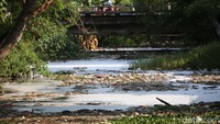 Sampah dan limbah ini disebabkan oleh perilaku tidak tertib warga dengan membuat sampah ke kali. 