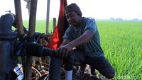Salah satu petani, Ayi (59) mengatakan, ia harus merogoh kocek lebih agar sawahnya tetap bisa menghasilkan, yaitu setiap harinya mengeluarkan uang Rp 100 ribu untuk membeli solar. Solar tersebut digunakan untuk menjalankan mesin penyedot air.