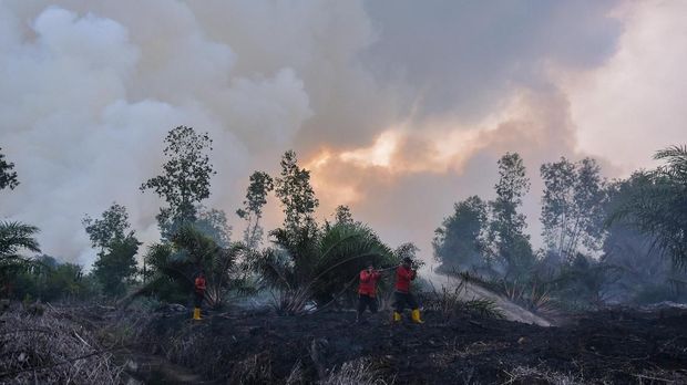 BMKG Jelaskan Sebab Fenomena Angin Kencang di Jawa