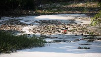 Sampah dan limbah busa ini menyebabkan bau tidak sedap.