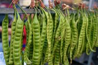 Durian Dilarang, Malay Festival 2019 di Singapura Hadirkan Ribuan Petai