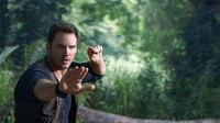 Sebelum syuting Jurassic World: Fallen Kingdom, Chris Pratt tinggal di Maui selama setahun dan 20 tahun kemudian ia kembali ke sana untuk syuting film tersebut. Dok. Universal Pictures