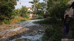 Jorok! Kali Pisang Batu Penuh Sampah dan Berbusa